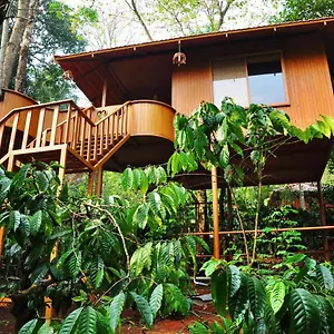 Planet Plantation Resorts, Wayanad, Kerala *** Kalpetta